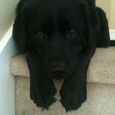 smcamp's profile picture. Real Estate Broker @Compass and owner of Seattle Swank Inc; staging and design