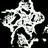 voidveins's profile image