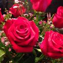 Stacey Neal - @StaceyNeal14 - Twitter