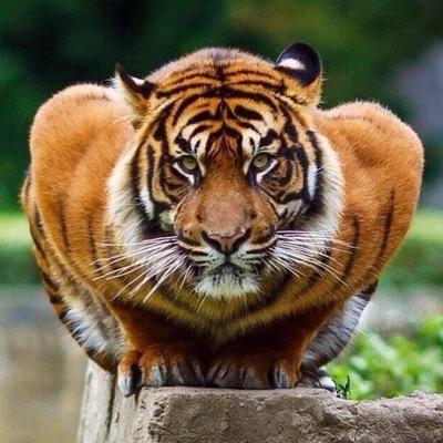 sa434300's profile picture. 