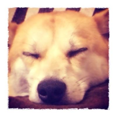 @tsuno001