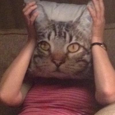 #MeowForNow 😻