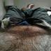 HairyBearLover (@leofest692) Twitter profile photo HairyBearLover (@leofest692) Twitter profile photo