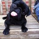 Ethan Boucher - @iwashackedong - Twitter