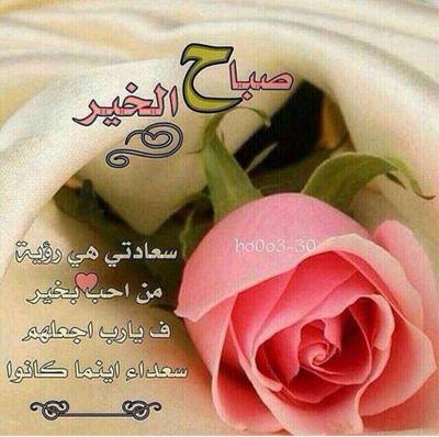 ‏‏‏‏‏محاضر بجامعة الامام عبدالرحمن الفيصل (جامعة الدمام سابقا)