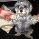 Richard Corner - @RichCorner449 - Twitter