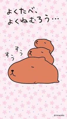 Hello