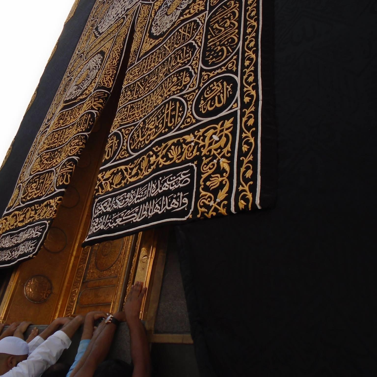 tareksalahd's profile picture. 