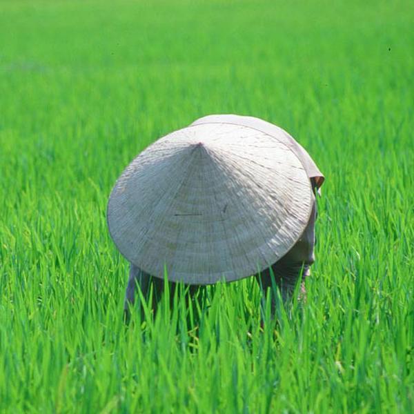 Travel experience in Vietnam, Laos, Cambodia and Myanmar at http://t.co/MLozx3MJOo