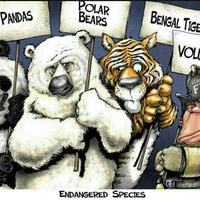 Rul Sg (@rul_sg) 's Twitter Profile