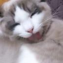 凛 (@13monmon) Twitter