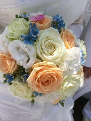 pattyk626's profile picture. live the life you love, love the life you live