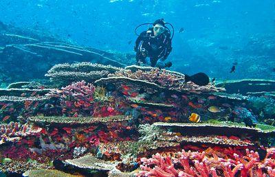 Oceanography '10 - Diponegoro University | @Muslimah_Undip | @SPI_Semarang