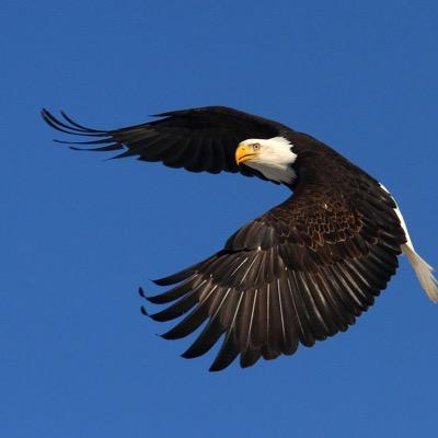 famrevewfun's profile picture. http://t.co/Tsjaf2gY0w