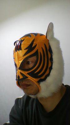 ・聖飢魔II　悪魔教信者😈 
・プロレス、総合格闘技
・歴代タイガーマスク
・ロータリーエンジン