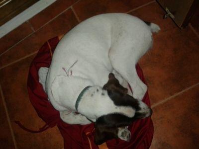 bernarkush's profile picture. Estacion de Gaucin, Rap en vena  Aprendi a rendir no a rendirme.