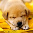 QING WANG - @ellawang8822 - Twitter