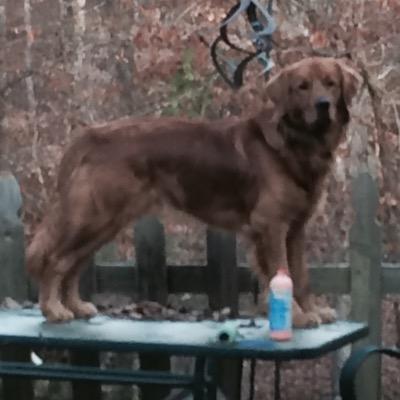 GDKnox30's profile picture. Disc Golf, LA Tech, Architecture