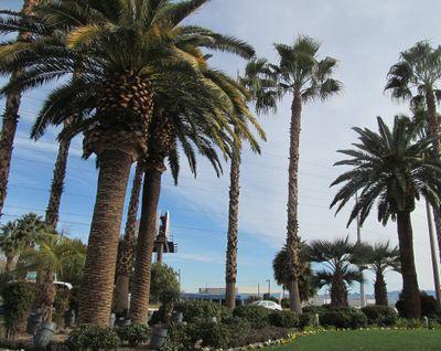 IT,Fitness,Healthy Eating,Nature, Music, Books,Arts,Crafts,Positive Living ,British Dramas,Hangul, Kdramas,Las Vegas bound by way of Summerlin and so much more.