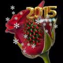 Khaled Yousof (@59a8e5b4e1964c1) Twitter