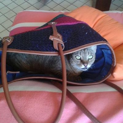 CettinaCaminiti's profile picture. COERENZA SEMPRE