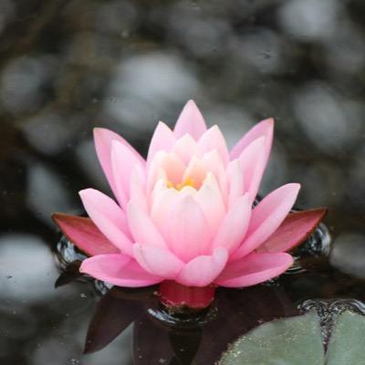 ちえさんのプロフィール画像