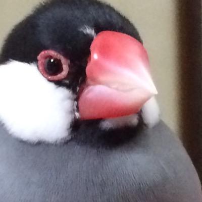 文太さんのプロフィール画像
