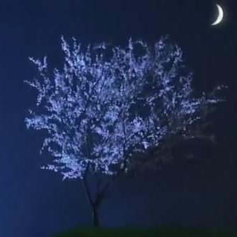 HasanuddinAmin's profile picture. S1 FKIP PENJASKESREK UNLAM