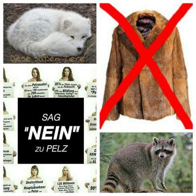 Sag Nein zu Pelz! 
Deutschland ist Hauptabnehmer von Pelz aus China. In China gibt es kein Tierschutzgesetz, also darf alles mit den Tieren gemacht werden.