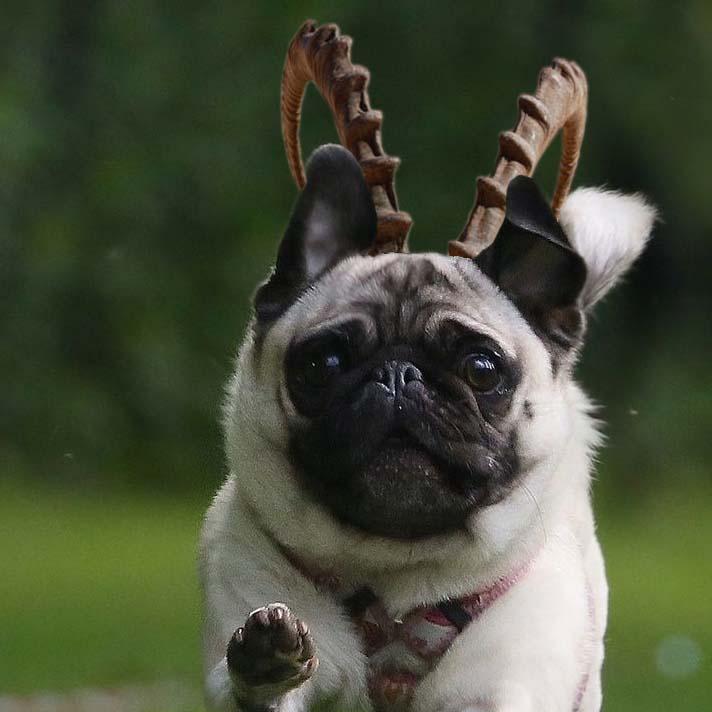 YzzRunNer's profile picture. sad man deluxe