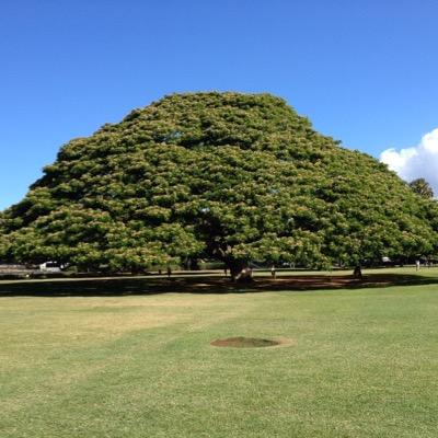 阪神タイガース関連の話題を呟いていきます。気軽にフォローしていただければ幸いです！