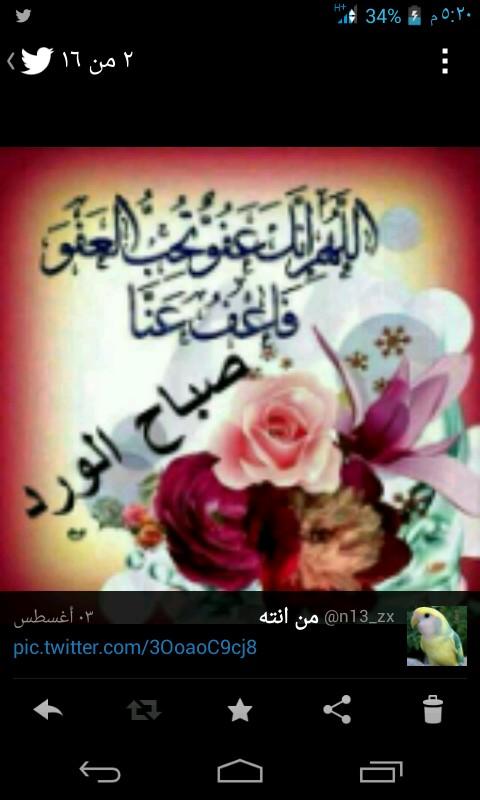 AliKumail810's profile picture. 