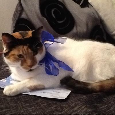 clarehc1986's profile picture. 