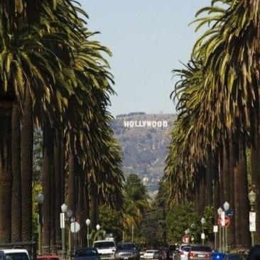 We all know the flawless surface of Hollywood. But will you be able to keep that image up? Or will you let drama, lies and heartbreak get the best of you?