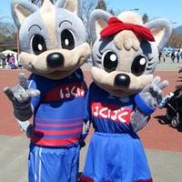 しのぶ (@shinobu238) Twitter profile photo