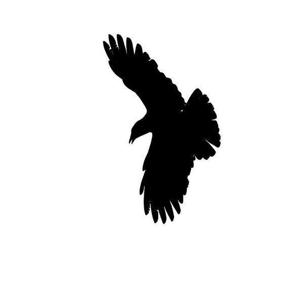 raven@chaos.social Builds Radio Networks. Also: Audio Engineer, Photographer, Industrial Climber, Geek, HB3YUG, @c3hoc