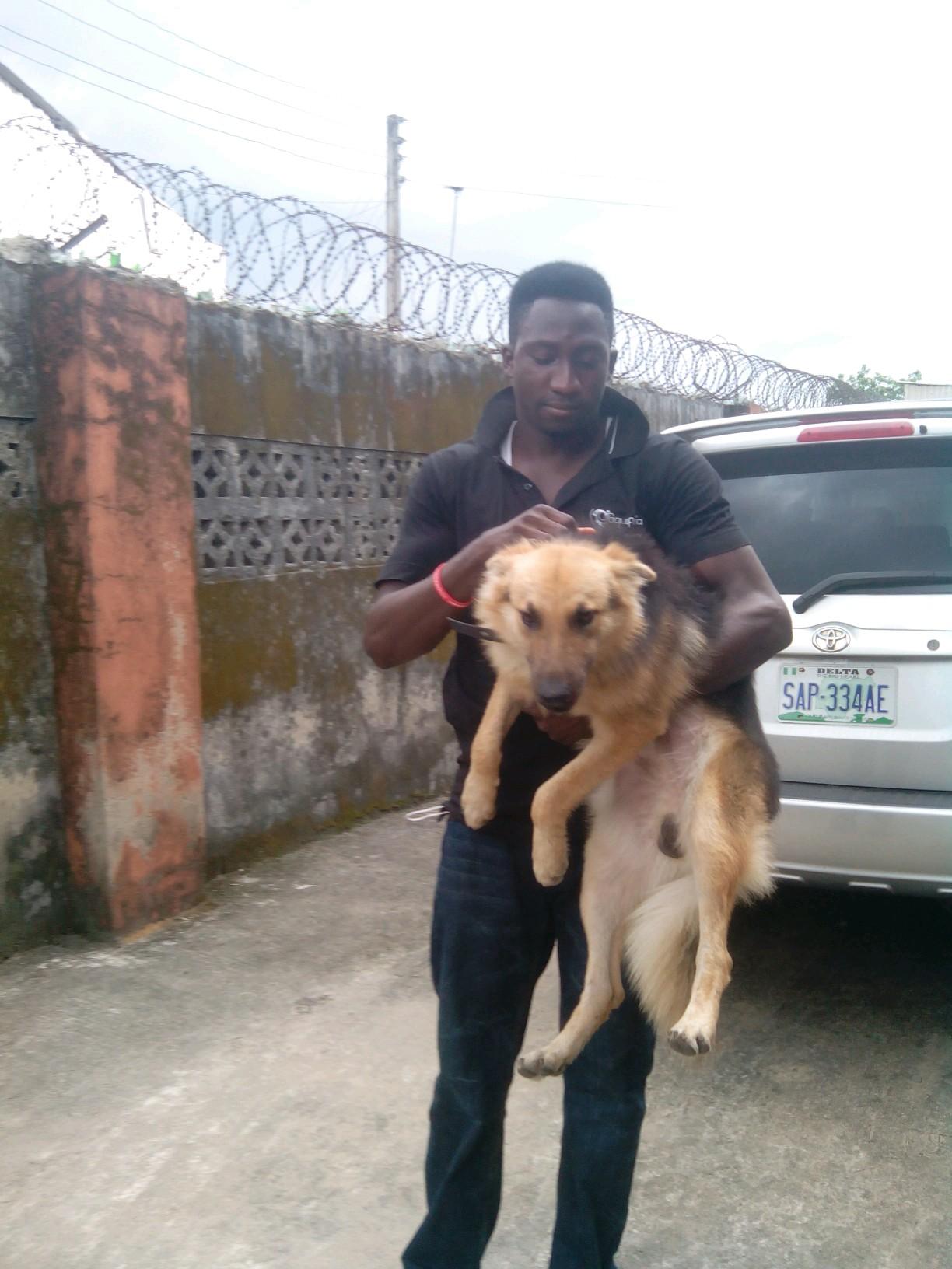 bishop1909ent's profile picture. CEO/MD @1909xclusive.ent