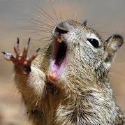 jama687's profile picture. Soy masoquista por eso sigo usando Twitter 😬