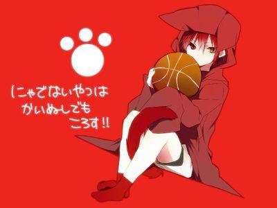 よーとんさんのプロフィール画像