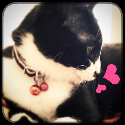 mit_o's profile picture. 2025年のモチベは🇫🇷旅。I love watching SPORTS←推し引退後おろそか気味 ❤️TASUKU💜BTSとか韓流とかいろいろ https://t.co/wQepIxoTCJ