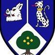 Leicester Forest Rugby Club 7s... #Forest7s