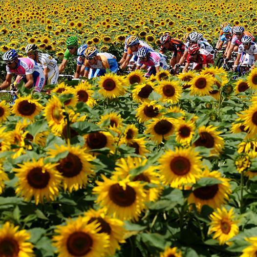 NieMichal's profile picture. 