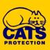 TCP (@cats_cp) Twitter profile photo TCP (@cats_cp) Twitter profile photo