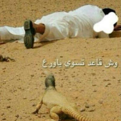 ❀•●צ IIــά`¸إצ IIـIـά`¸םבםב`¸ gшJل`¸IIـIـά●❀