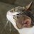 Yasutaka SHINDOH のTwitterプロフィール画像