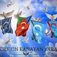 Sevinc #Turan (@syassikaya) 's Twitter Profile