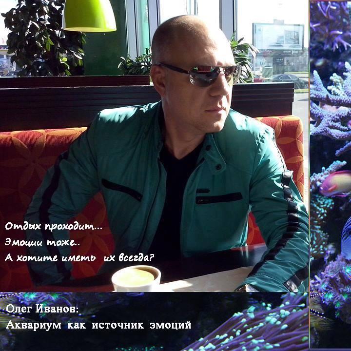 работа и хобби морские аквариумы..