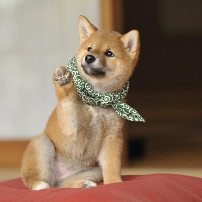 よろしくお願いします。