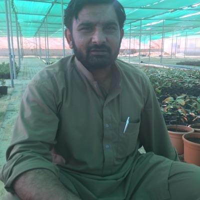 SherSksher's profile picture. 