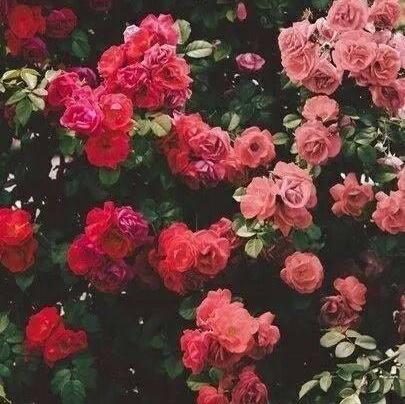 عندى حِلـم بس مش فكراه :)